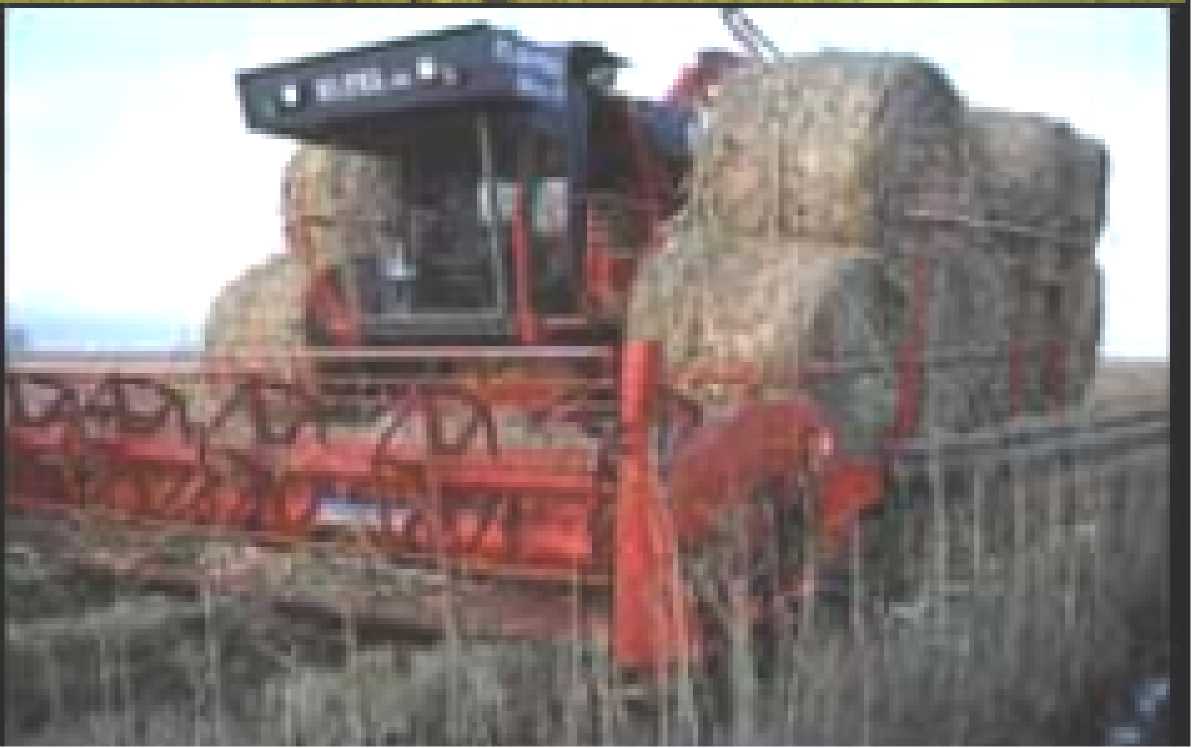 Mähmaschine