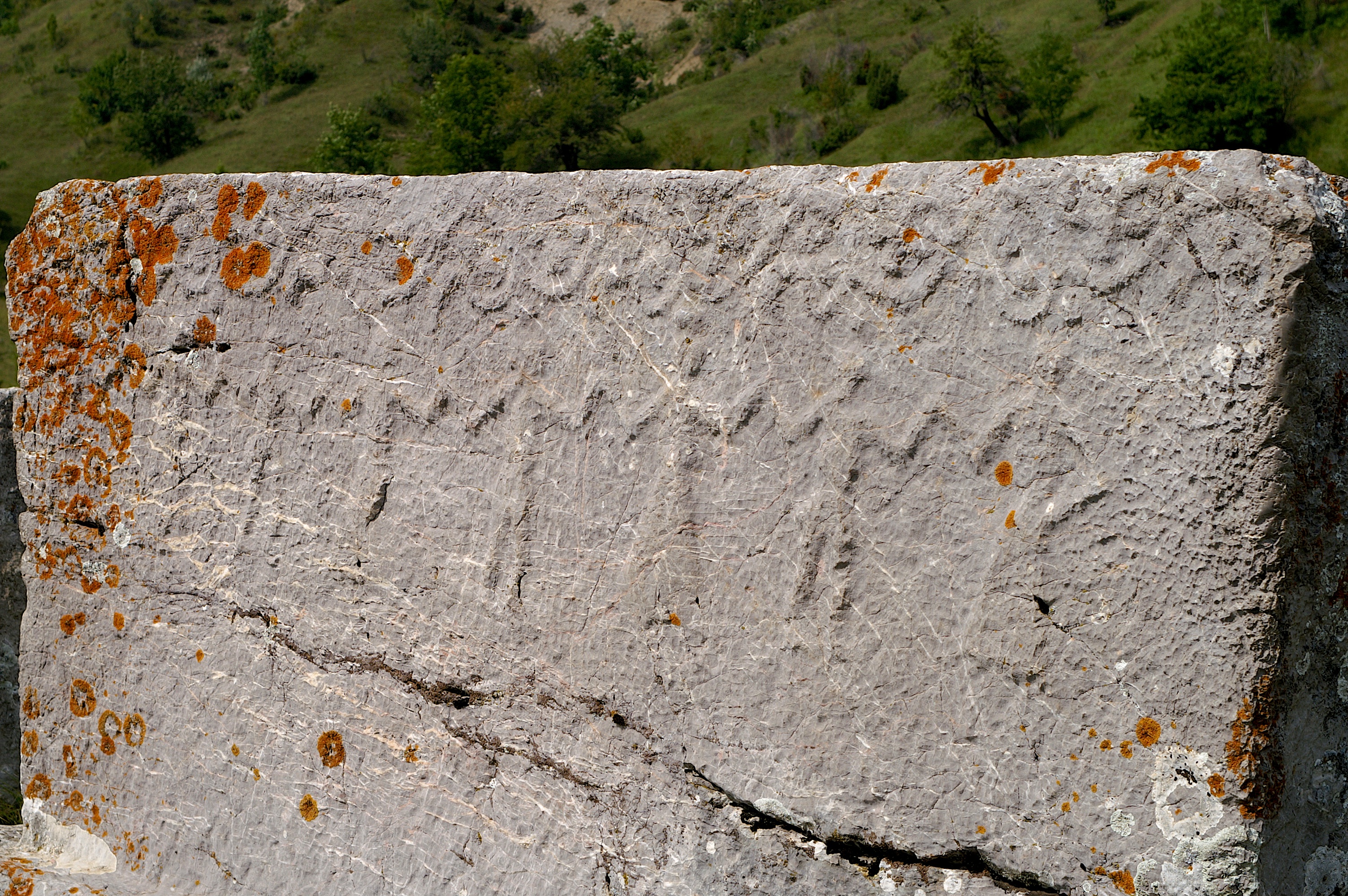 Umoljani, Babin Do, 2005